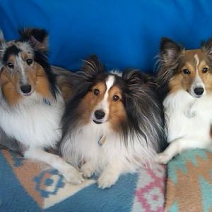 Happiness comes in threes!
