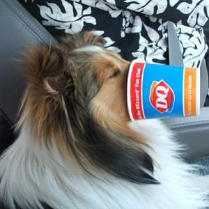 Dairy Queen, part two:
I laughed so hard I couldn't stop (and really freaked him out, by the way ...)!