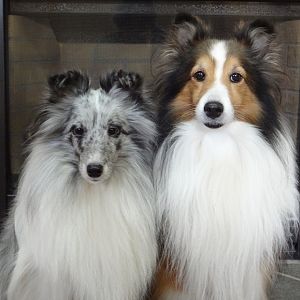 Ember and Justice 10/1/11