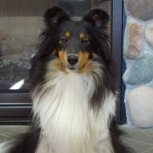 Diva 10/1/11