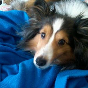 Murphy shows that look that just melts your heart.