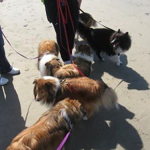 All six in one shot!