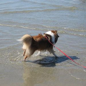 Rookie getting his feet wet.
