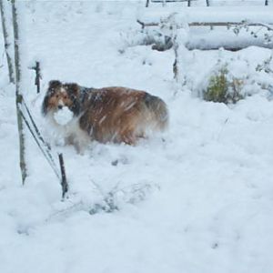 My ball is MUCH bigger than it was last night!