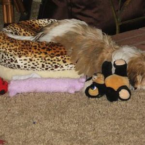 Played just a little too hard!