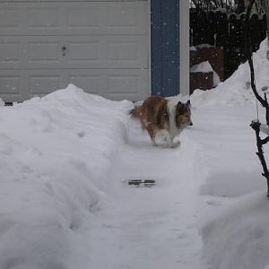 "where did my potty spot go???"
