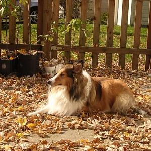 Enjoying a beautiful fall day.