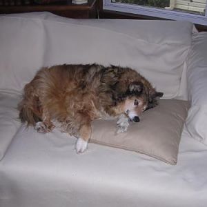 got to love pillows