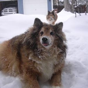 "who called for all this snow!!"