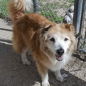Zippy at Lockhart.... on death row, just waiting for his turn.
