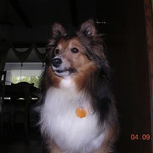 Check me out Belle... I'm a pretty girl.