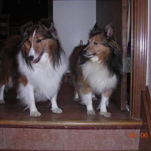 Hey Belle, now that I'm cleaned up I look just like you... just a tad shorter :)