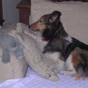 watching for the mailman with Mr. elephant