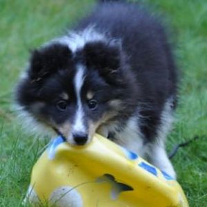 Perfect ball for a little mouth