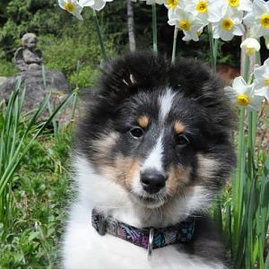 11 weeks in the garden