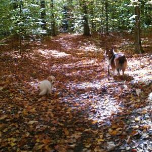 With her pal Maggy, sharing a nice autumn walk!