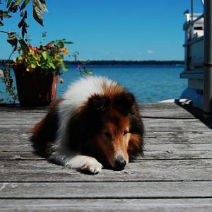 Best place for sights and sniffs.