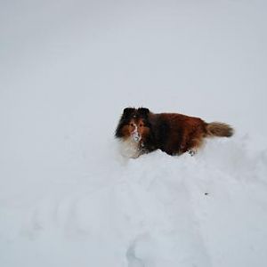 Could hardly get through it, but that's why the snow was so much fun!
