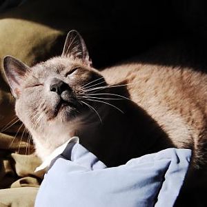 Simon in the sun.