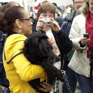 2013 Westminster Best in Show, GCH Banana Joe V Tani Kazari

Soaking in the glory of his adoring public.  He loved on everybody, friendly with the l