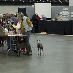Random whippets, in the sense that I just happened to see them.  If you know who they are, let me know so I can give them credit!