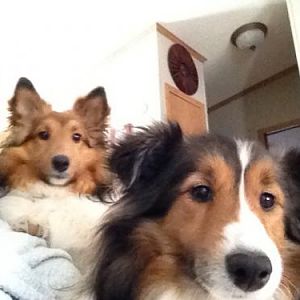 sadona and lakota