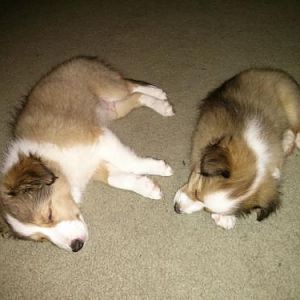 Bed time