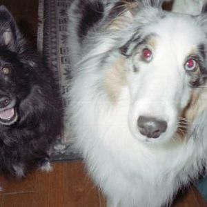 Koti and Winston