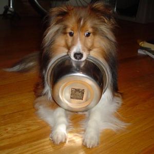Hoping for some dinner.