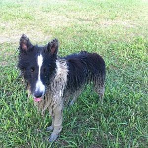 "I fell into a giant mud hole and I liked it."