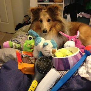My first birthday presents!