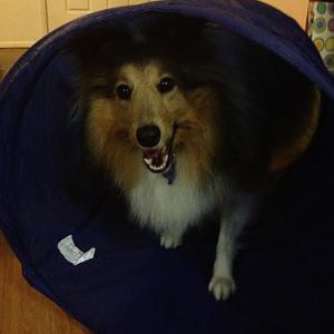 My tunnel