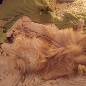 Yah, this is MY bed now!