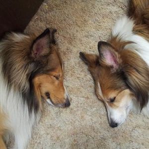F-kap (R) and Jody (L)