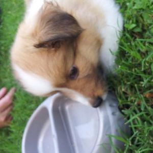 Sarah at 6 weeks