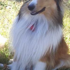 WHAT are YOU looking at?!