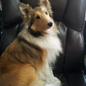 Little Miss Ida Red all grown up