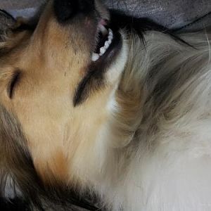 Ida dreaming in my arms