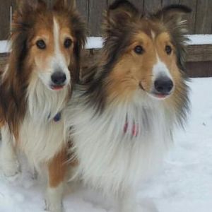 Ma! We can't feel our tongueth!