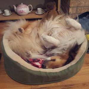 Oh goodness Joe! Thats the baby bed! Haha!