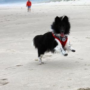 Enjoying the Oregon beach