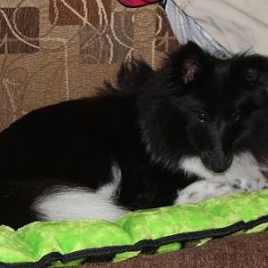 Cuddled up in the camper with his new toy