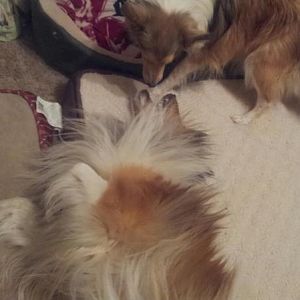 Hey Ida! Does my breath smell good?!