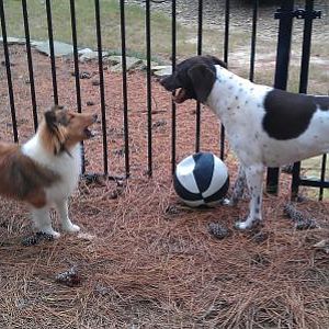 Jagger giving Kylie an earful