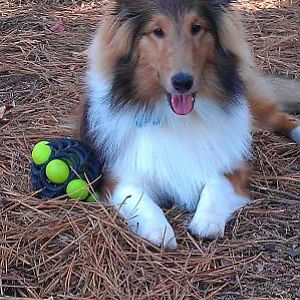 Let's play!