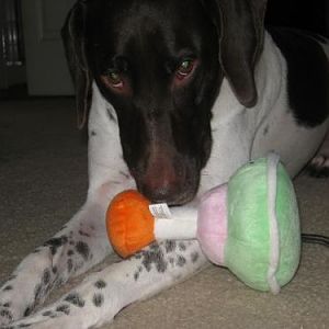 Kylie being sweet for a minute (before toy demolished)