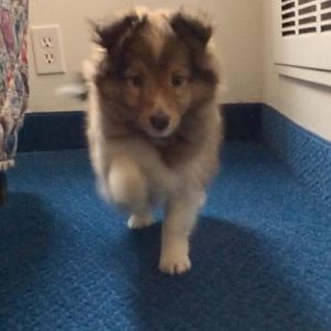 8 weeks.. First week home!