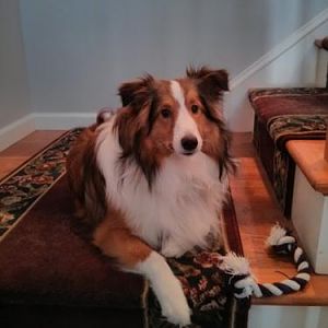 jackson 10mo