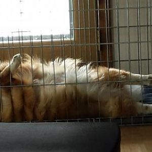 Sound asleep...