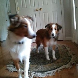 IMG 20130925 091506
